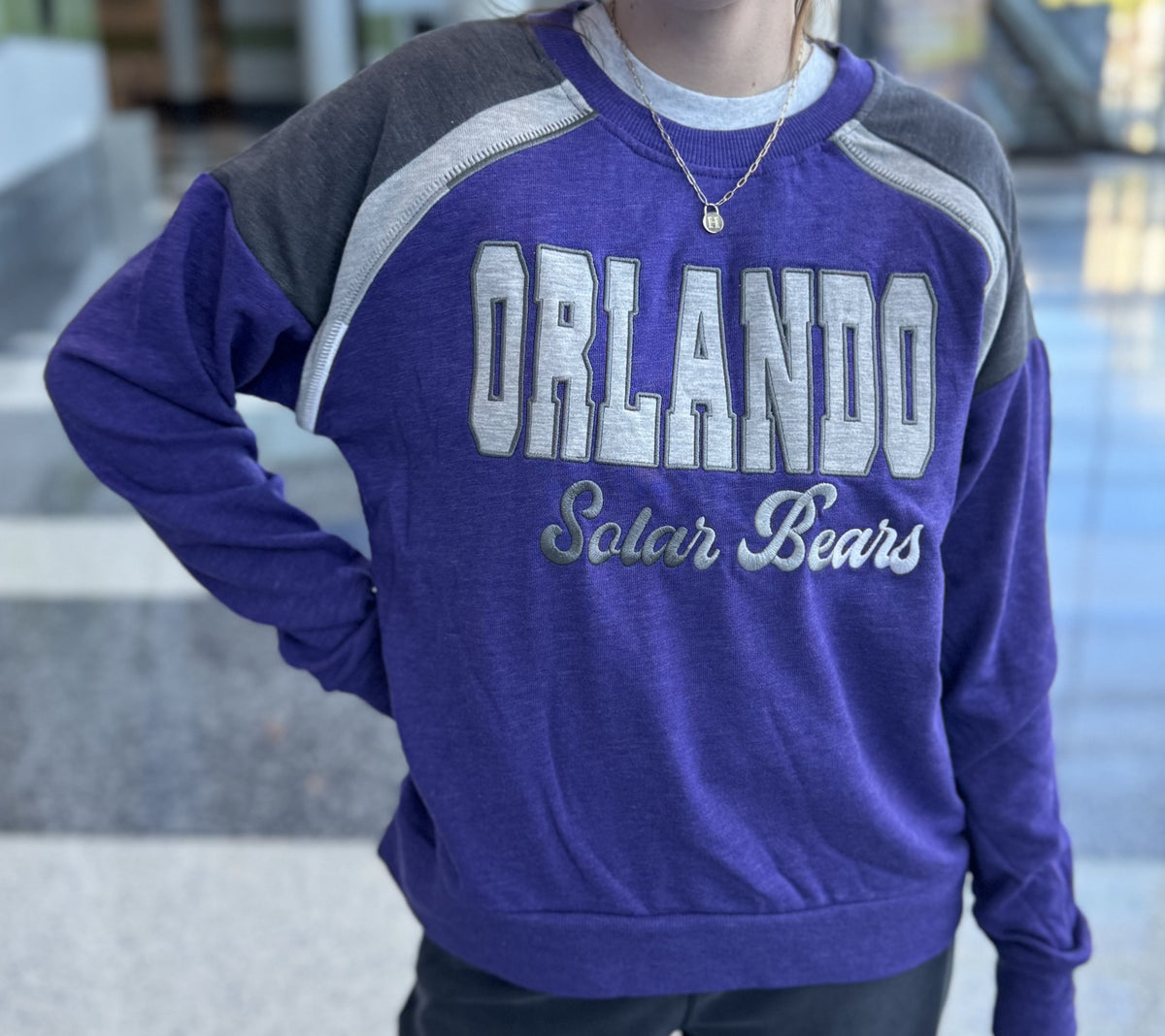 Orlando 2024 Solar Bears Hoodie Signed Girls Large Pullover Sweatshirt Hockey Purple