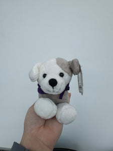 Short Stack Puppy