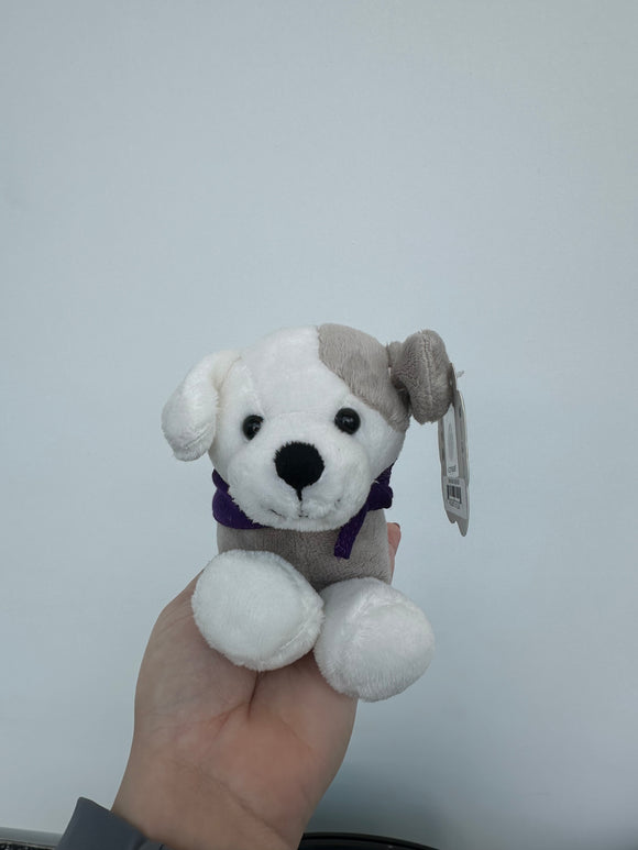 Short Stack Puppy