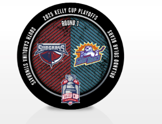 Stingrays vs. Bears Playoff Puck