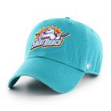 Adult Teal Clean Up Hat